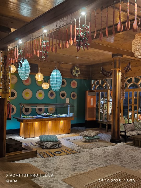 Sport & Freizeit Desert Rose