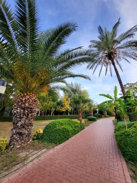 Gartenanlage Sunis Elita Beach Resort & Spa