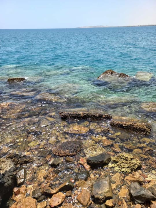 Strand Pickalbatros Aqua Vista Resort - Hurghada