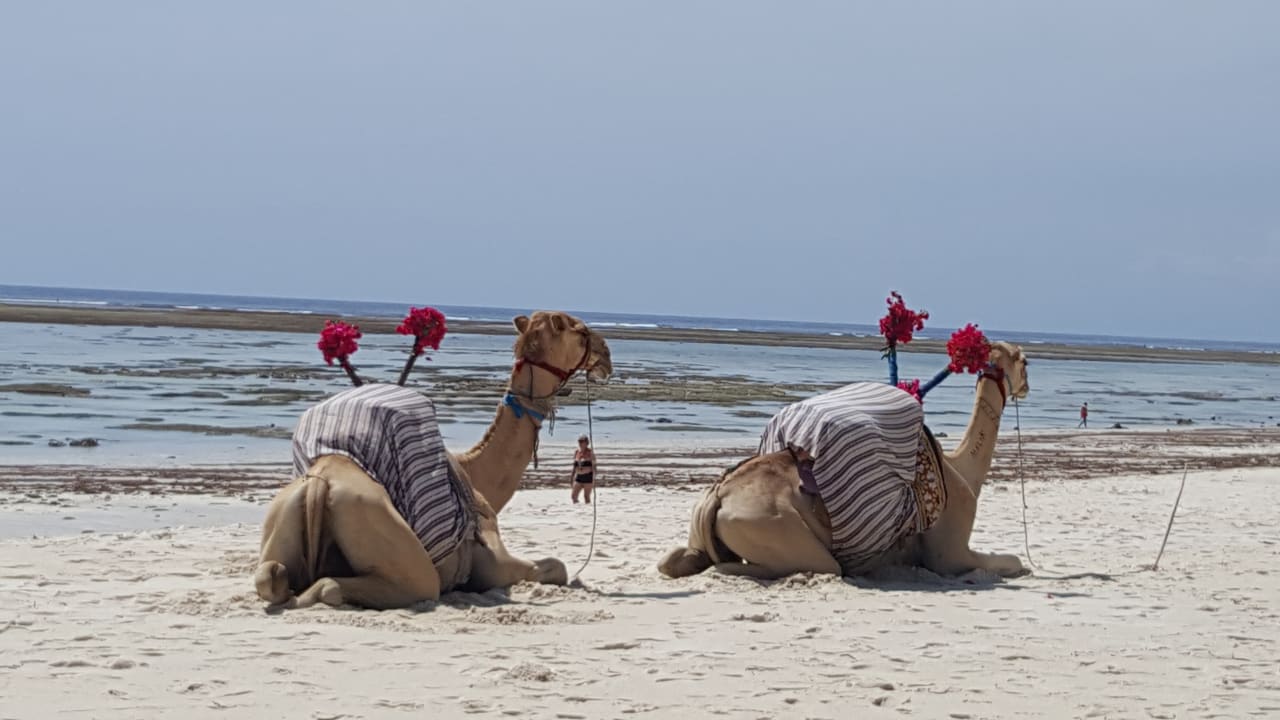 Sport & Freizeit Hotel Southern Palms Beach Resort