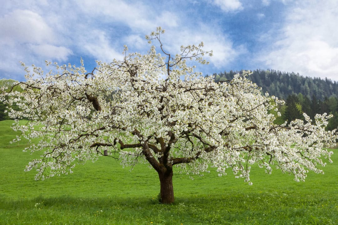 Sonstiges Gästehaus Pfnürlehen