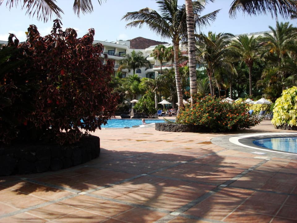 Ein Salzwasser Susswasse Apartments Palmeras Garden Playa Blanca • Holidaycheck 3405