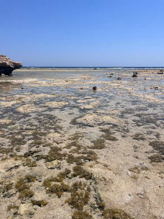 Strand Albatros Makadi Resort