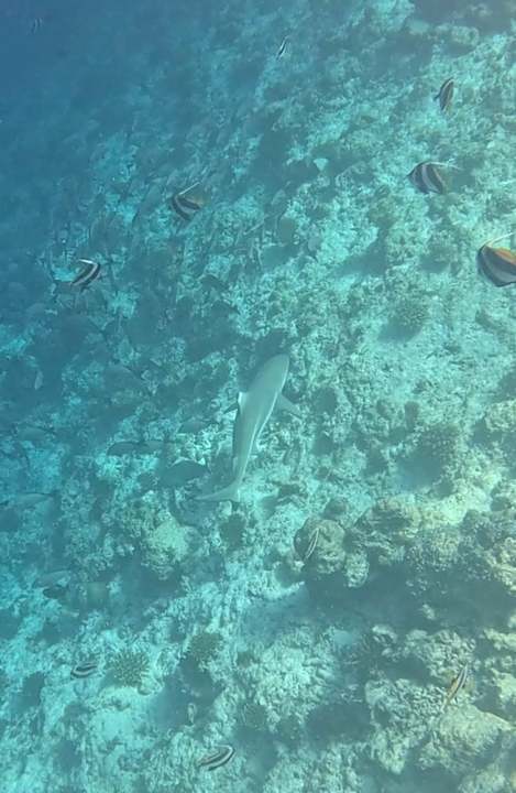 Sonstiges Thulhagiri Island Resort