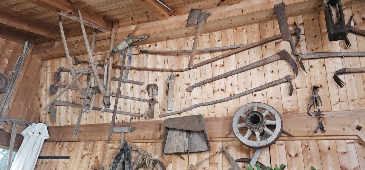 Gastro Hotel Drei Birken