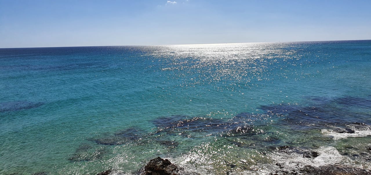 Ausblick R2 Pajara Beach