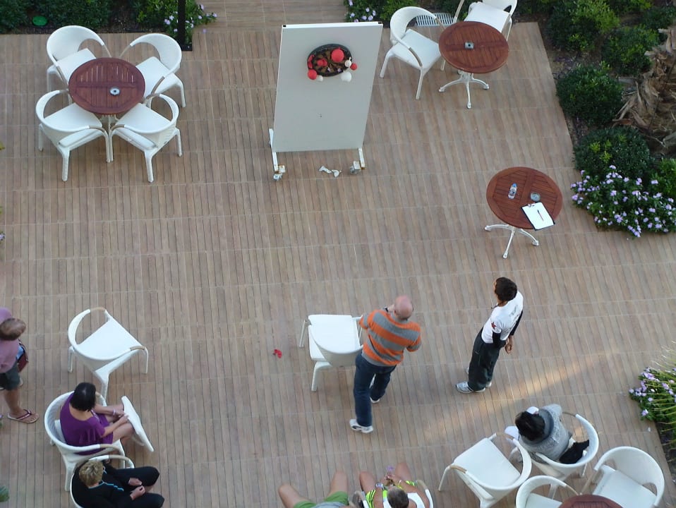 Dart Sentido Trendy Verbena Beach