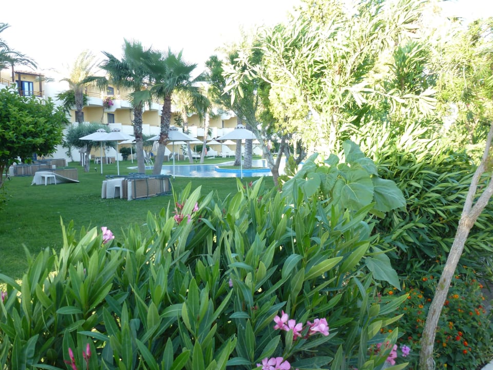 Blick zum Pool Atrium Palace Thalasso Spa Resort & Villas