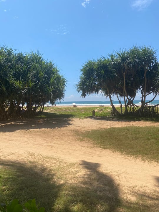 Strand Thaala Bentota