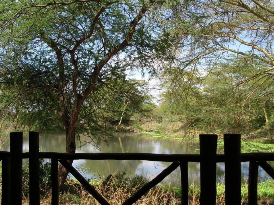 Blick von Zelt 25 auf den Hippo-Pool Hotel Finch Hattons Camp