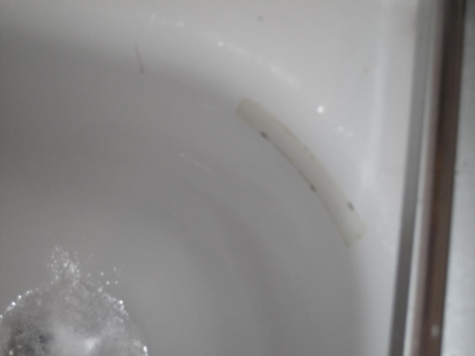 Duschtasse Pension Haus Paulsen