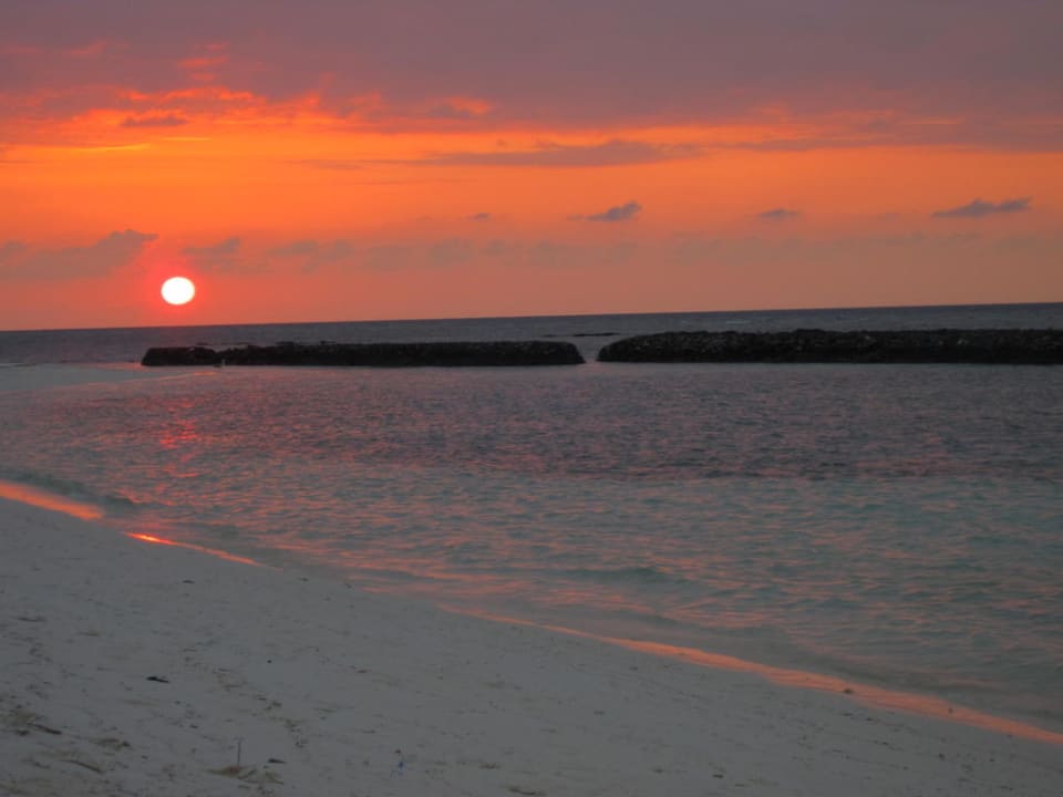 Nordseite Höhe Bungalow 410 Kuredu Island Resort & Spa
