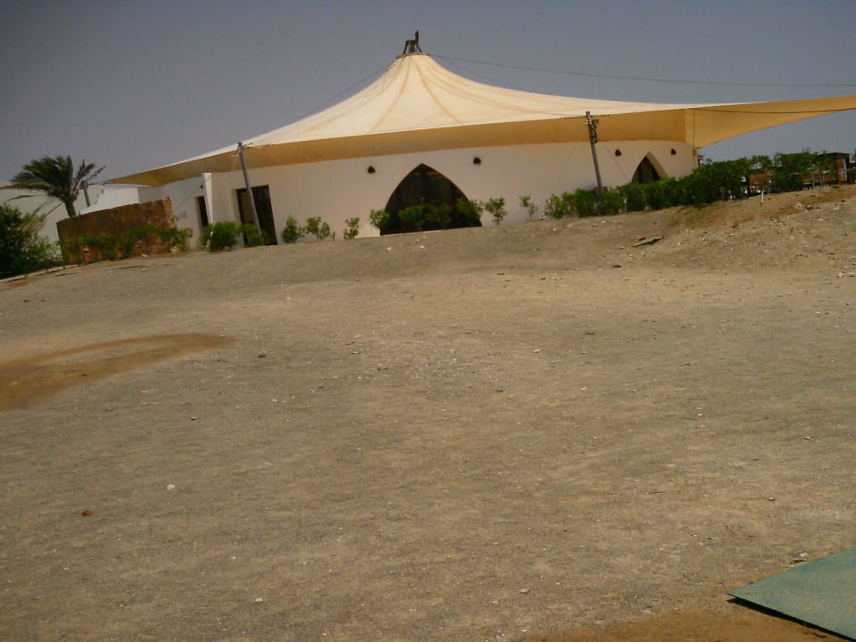 Fischrestaurant Hotel Gorgonia Beach Resort