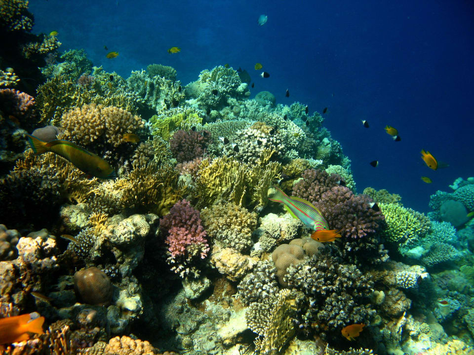 7 Stella Beach Resort & Spa Makadi Bay