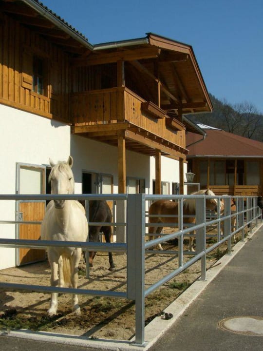 Pferdestall POST Family Resort