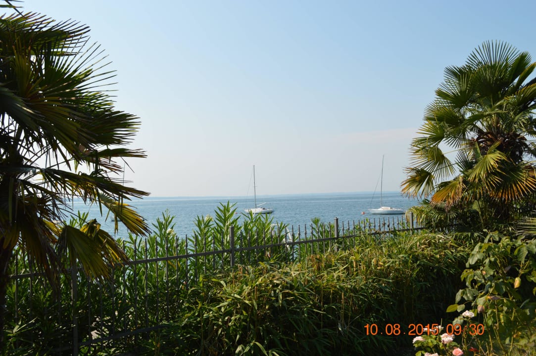 Widok z ogrodu Hotel Du Parc