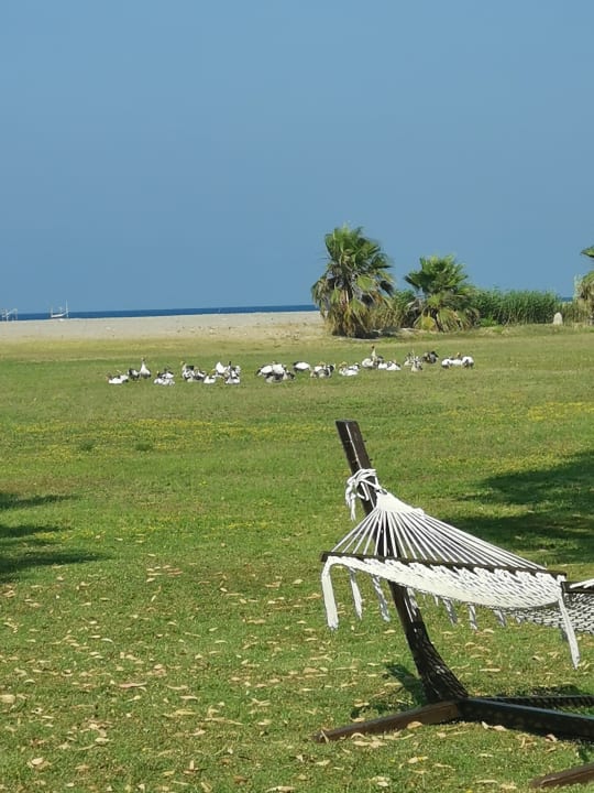 Gartenanlage TUI KIDS CLUB Felicia Village