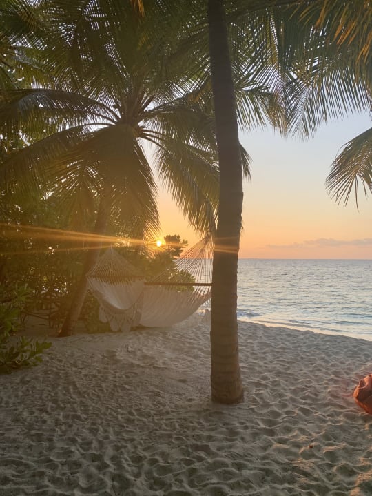 Gartenanlage Mirihi Island Resort