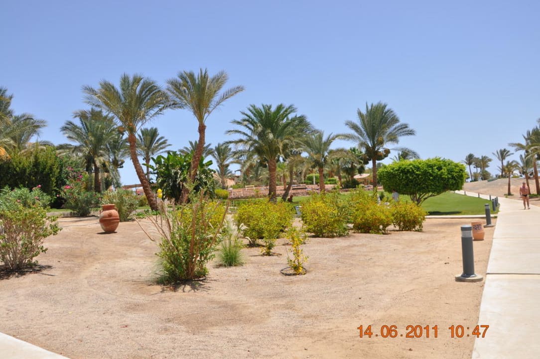 Gartenanlage Steigenberger Coraya Beach - Adults only