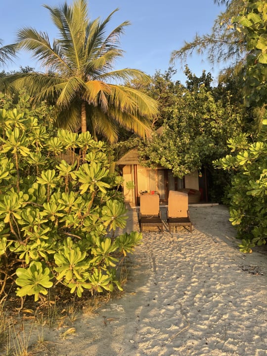 Gartenanlage Summer Island Maldives