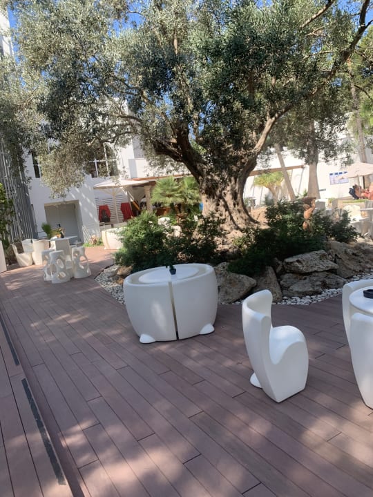 Gartenanlage allsun Hotel Cormoran