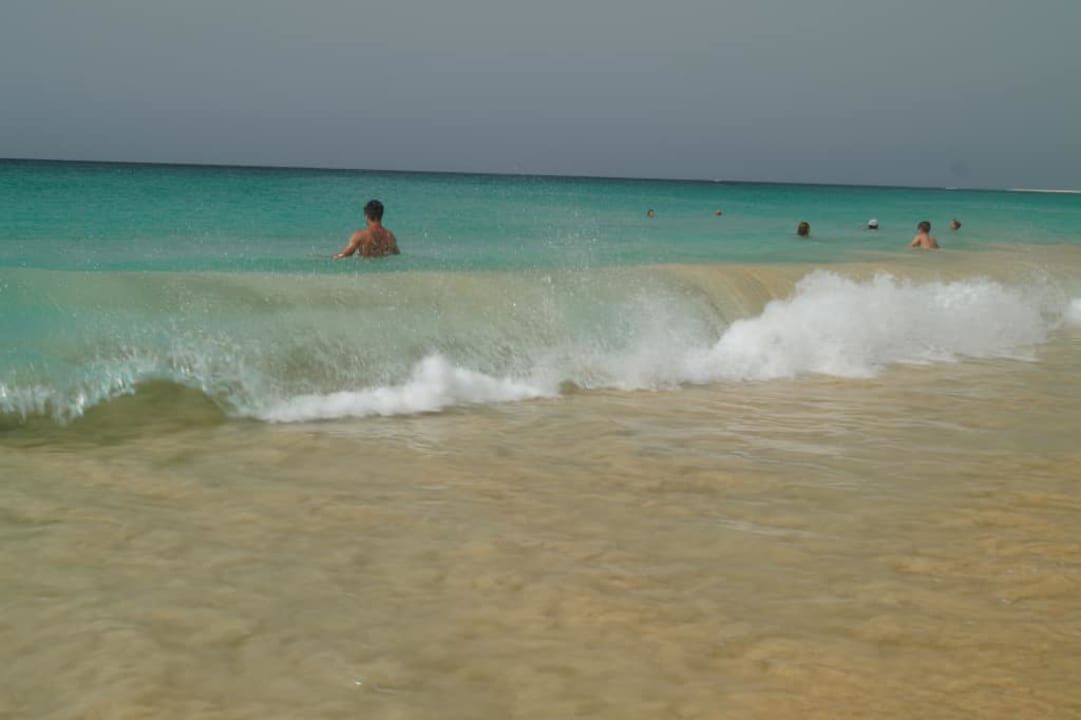 Zabawa Oasis Salinas Sea