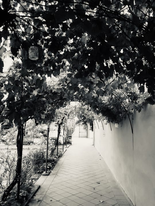 Gartenanlage Villa Il Palagio