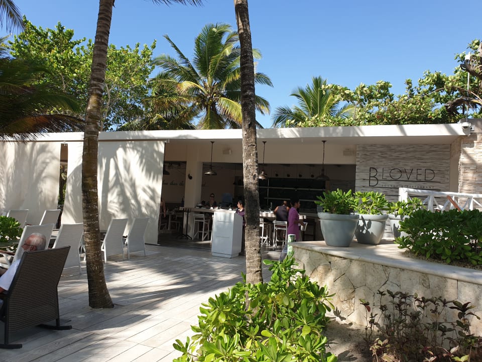 Gastro Catalonia Royal Tulum Beach & Spa Resort - Adults only