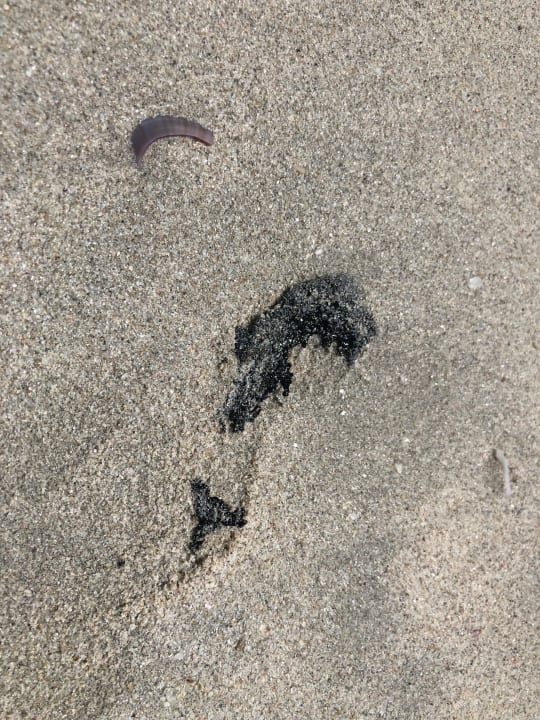 Strand Ramada by Wyndham Beach Hotel Ajman