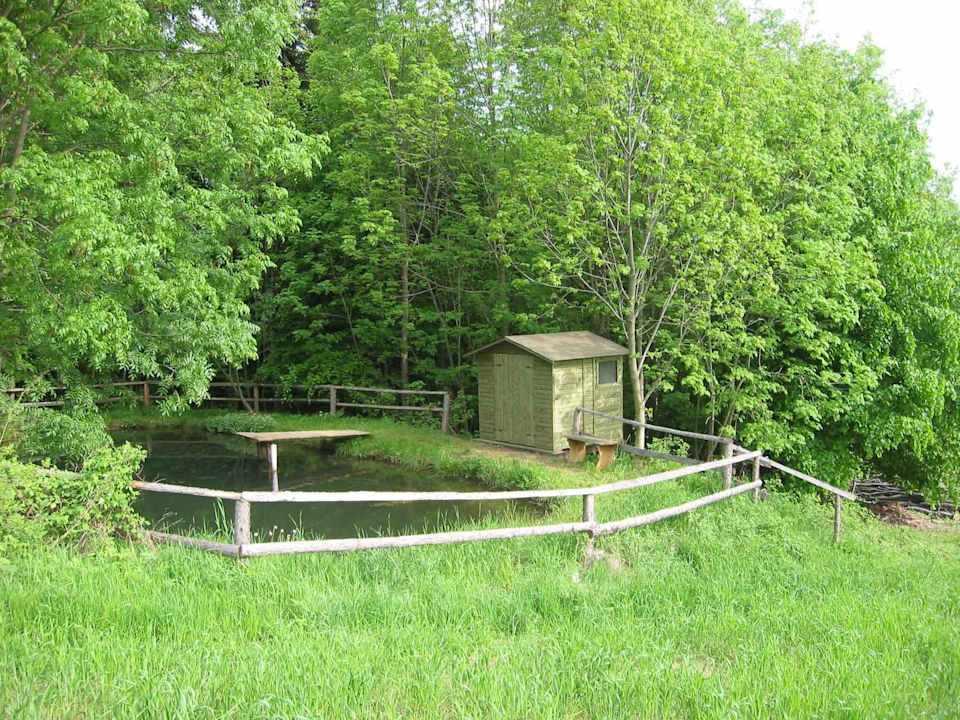 Forellenteich Pension Wachahof