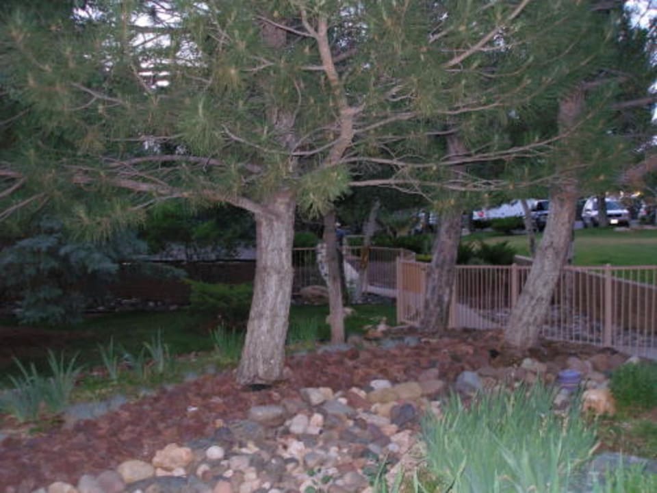 Außenanlage The Squire at Grand Canyon