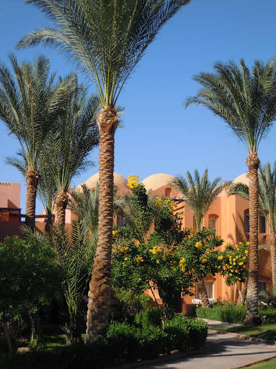 Wunderschöne sehr gepflegte Gartenanlage Jaz Makadi Oasis Resort