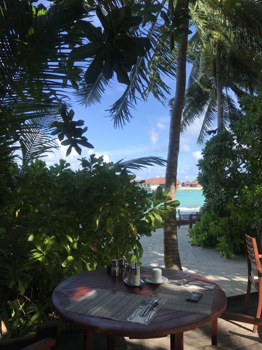 Gastro ROBINSON MALDIVES