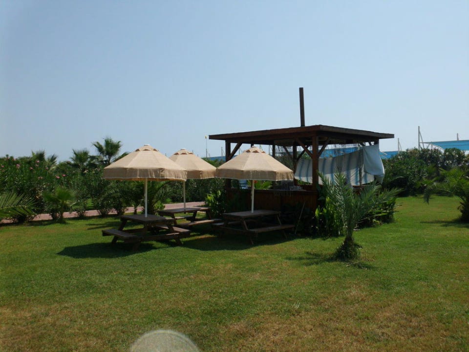 Fladenbrot im Garten Seaden Sea World Resort & Spa