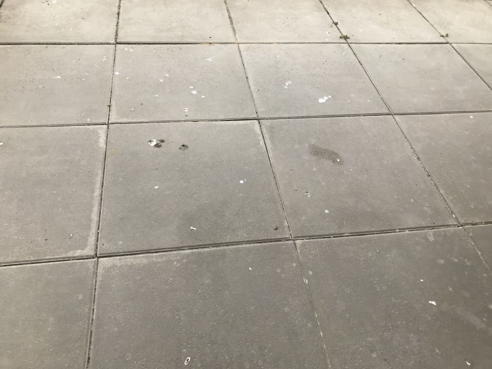 Gartenanlage BEECH Resort Boltenhagen