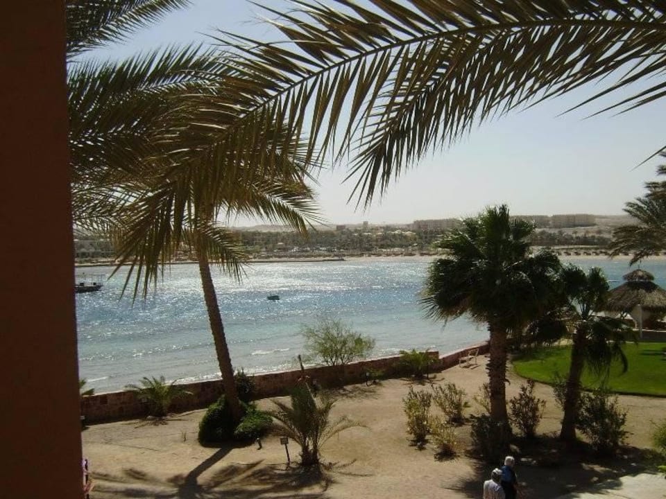 Blick vom Balkon auf die Bucht Steigenberger Coraya Beach - Adults only