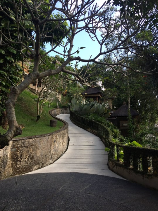 Weg zum Pool Hotel Alam Ubud, Culture Villas And Residences