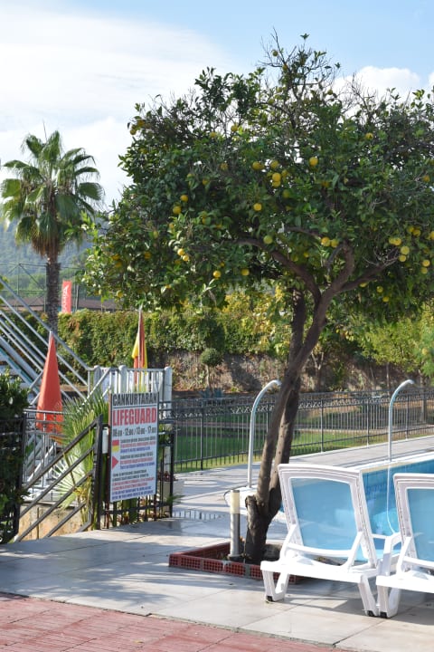 Pool Armas Gül Beach