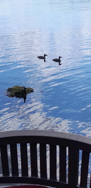 Sonstiges Hotel am Tierpark