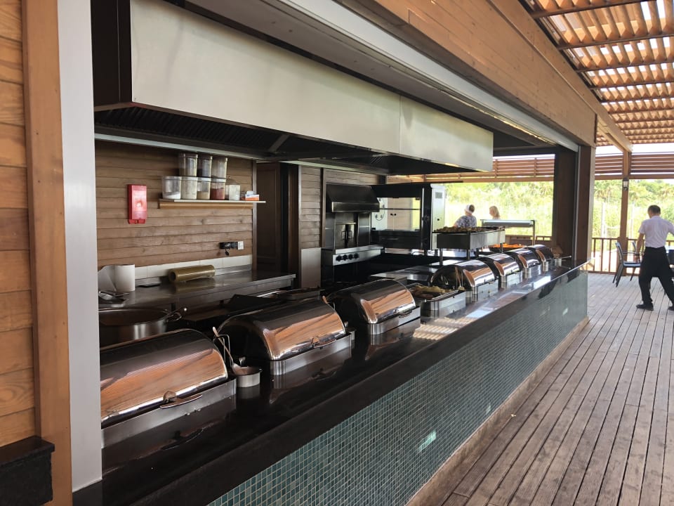 Gastro Seashell Vega