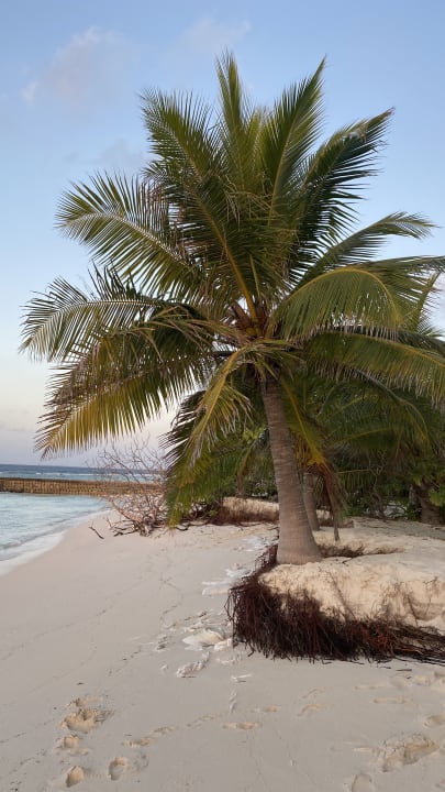 Strand Adaaran Select Meedhupparu Island Resort - Premium All Inclusive