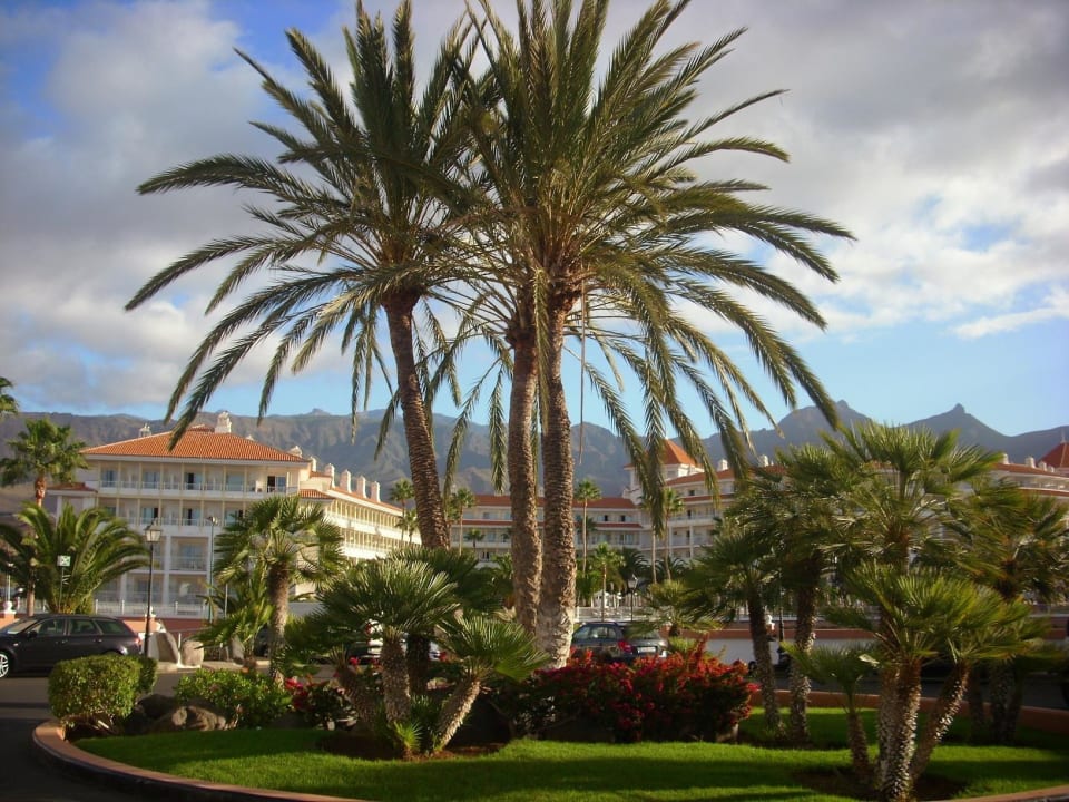 Blick auf`s Hotel Hotel Riu Palace Tenerife