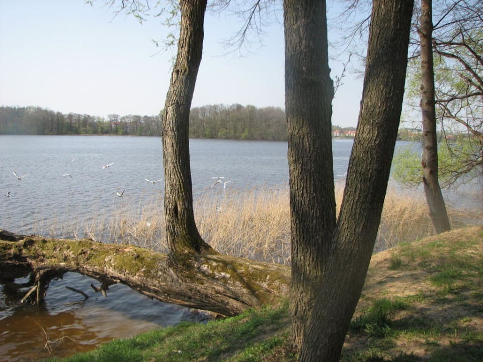 Spacer nad jeziorem. Hotel Solar Palace Spa & Wellness