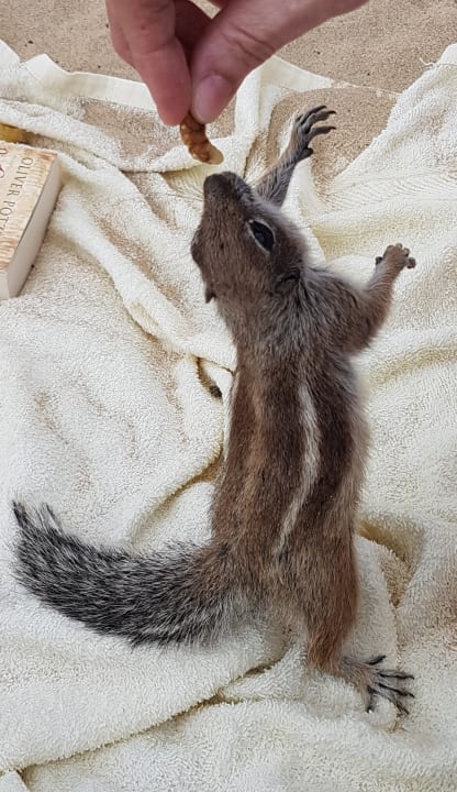 Sonstiges SBH Club Paraiso Playa