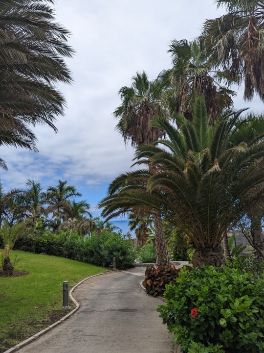 Gartenanlage La Palma Princess