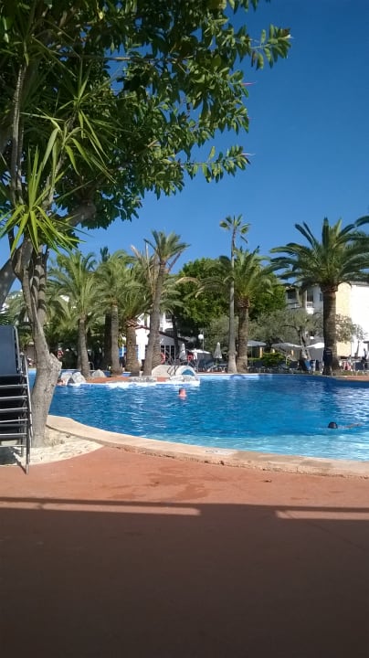 Pool Alcudia Garden Aparthotel