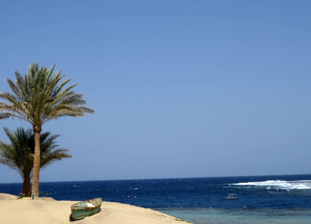 Urlaubs-Idylle pur Steigenberger Coraya Beach - Adults only