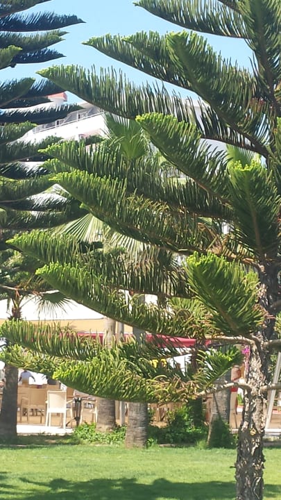 Gartenanlage Mira Meridia Beach Hotel