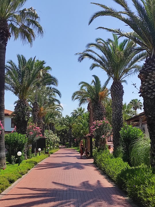 Gartenanlage Ali Bey Club
