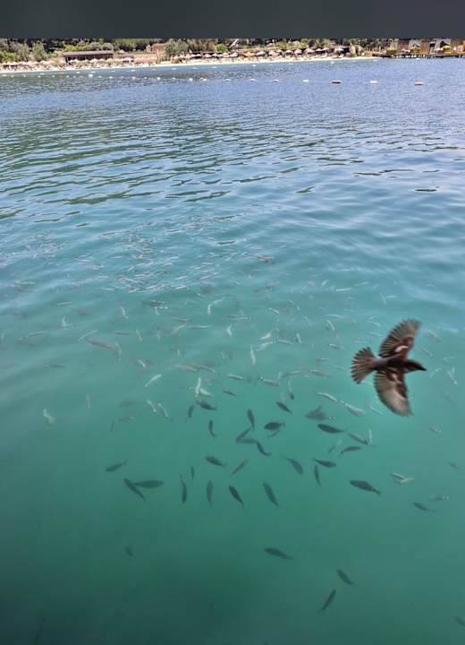 Strand La Blanche Island Bodrum
